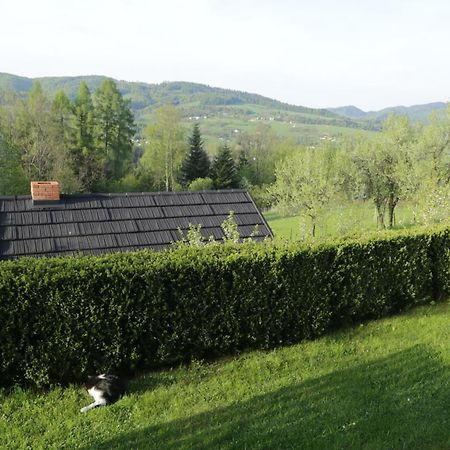 Apartament w ogrodzie Tylka Zewnętrze zdjęcie