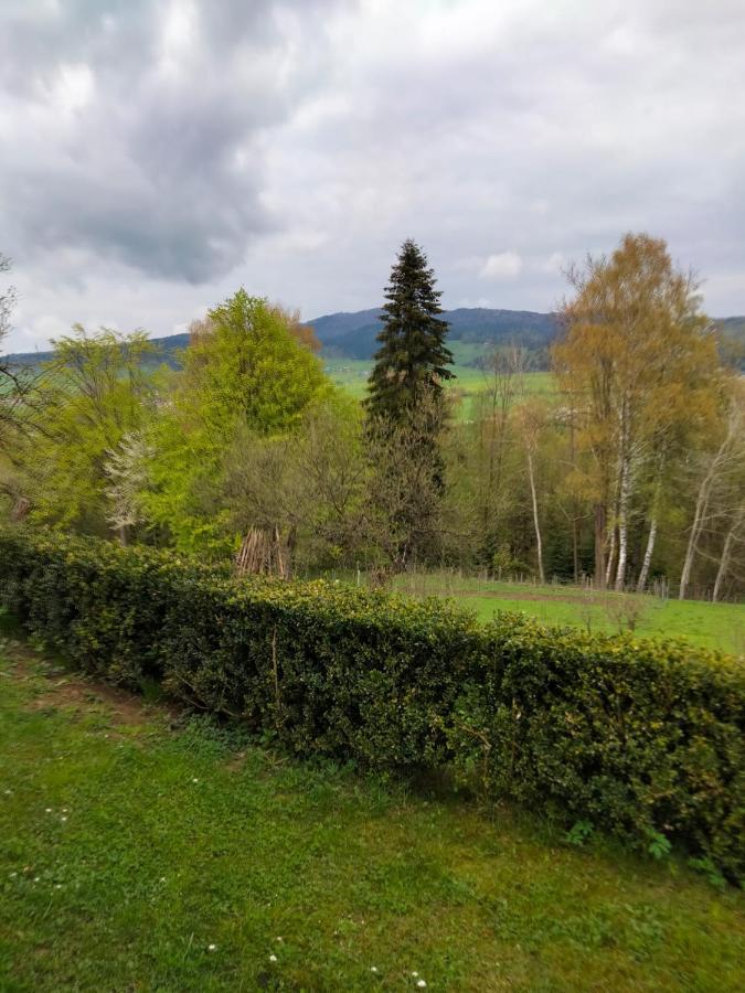 Apartament w ogrodzie Tylka Zewnętrze zdjęcie