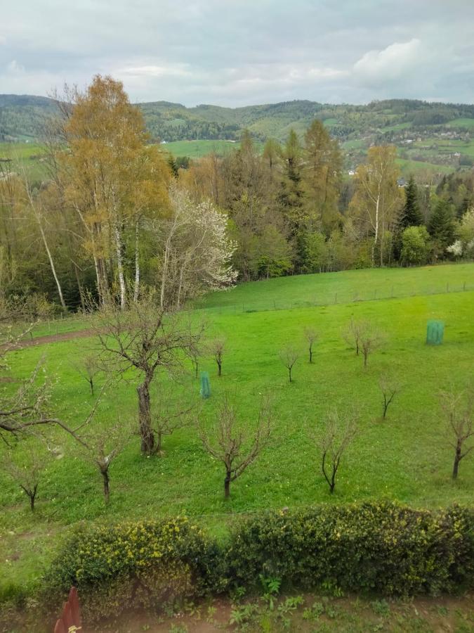 Apartament w ogrodzie Tylka Zewnętrze zdjęcie