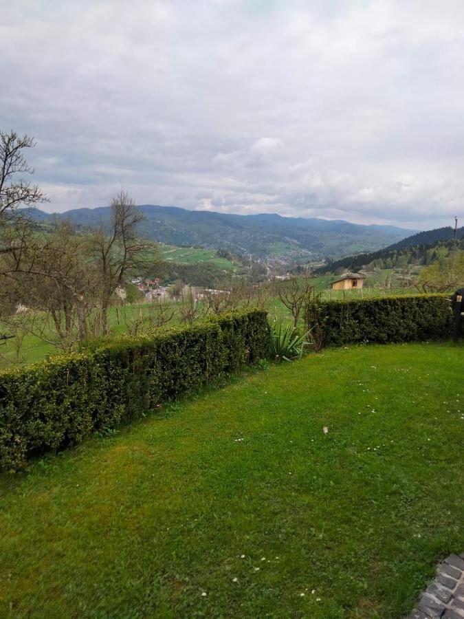 Apartament w ogrodzie Tylka Zewnętrze zdjęcie